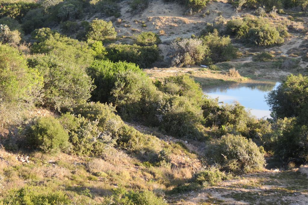 Kudu Ridge Game Lodge Адо Екстериор снимка