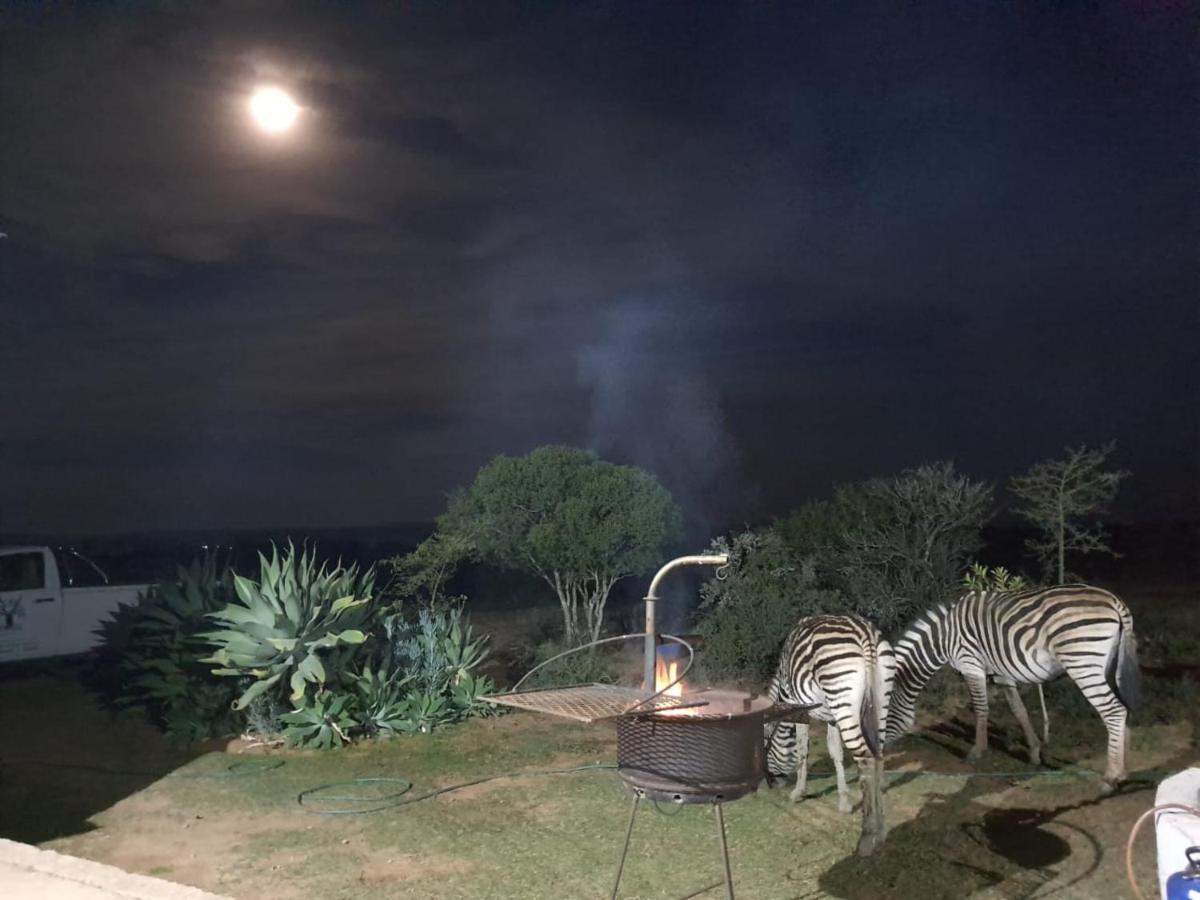 Kudu Ridge Game Lodge Адо Екстериор снимка