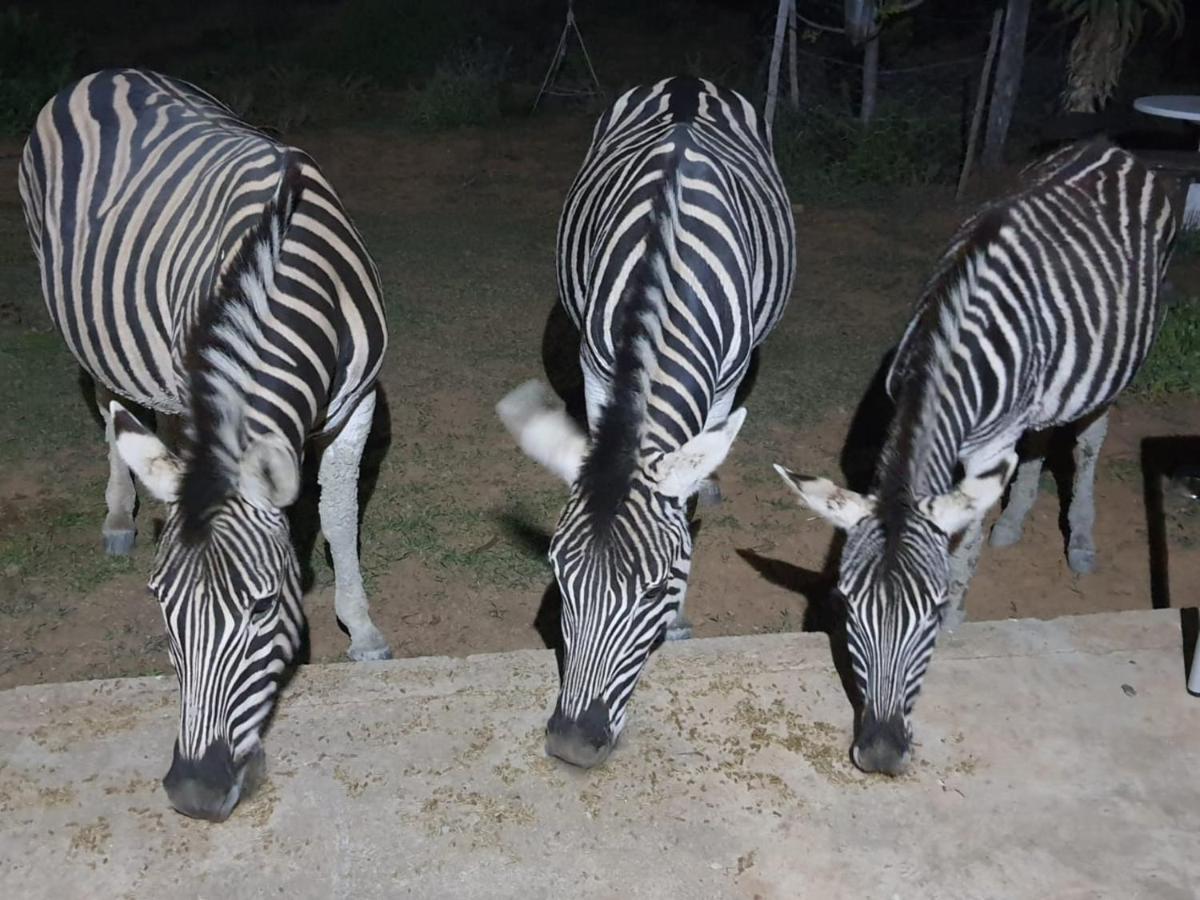Kudu Ridge Game Lodge Адо Екстериор снимка