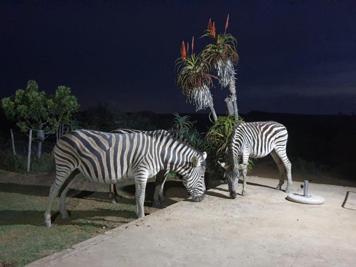 Kudu Ridge Game Lodge Адо Екстериор снимка