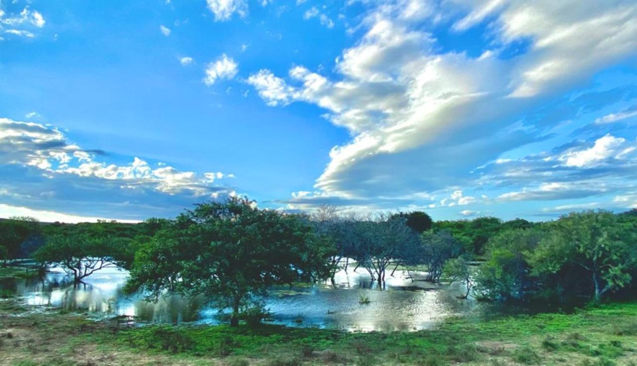 Kudu Ridge Game Lodge Адо Екстериор снимка