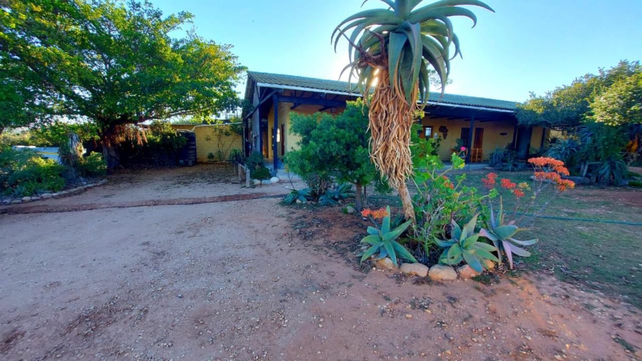 Kudu Ridge Game Lodge Адо Екстериор снимка
