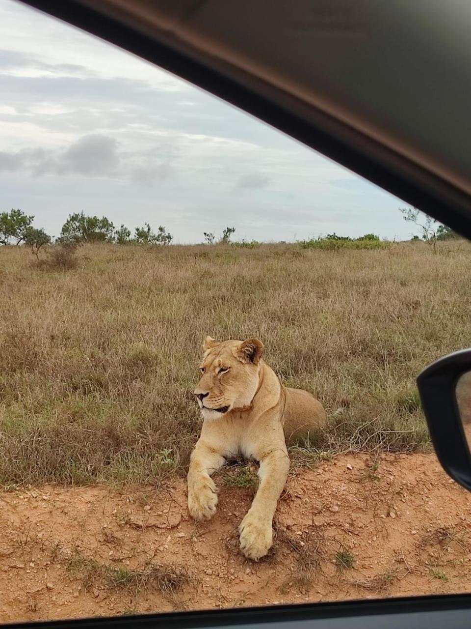 Kudu Ridge Game Lodge Адо Екстериор снимка
