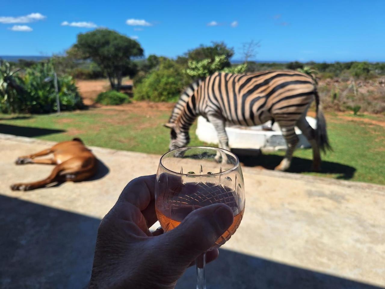 Kudu Ridge Game Lodge Адо Екстериор снимка