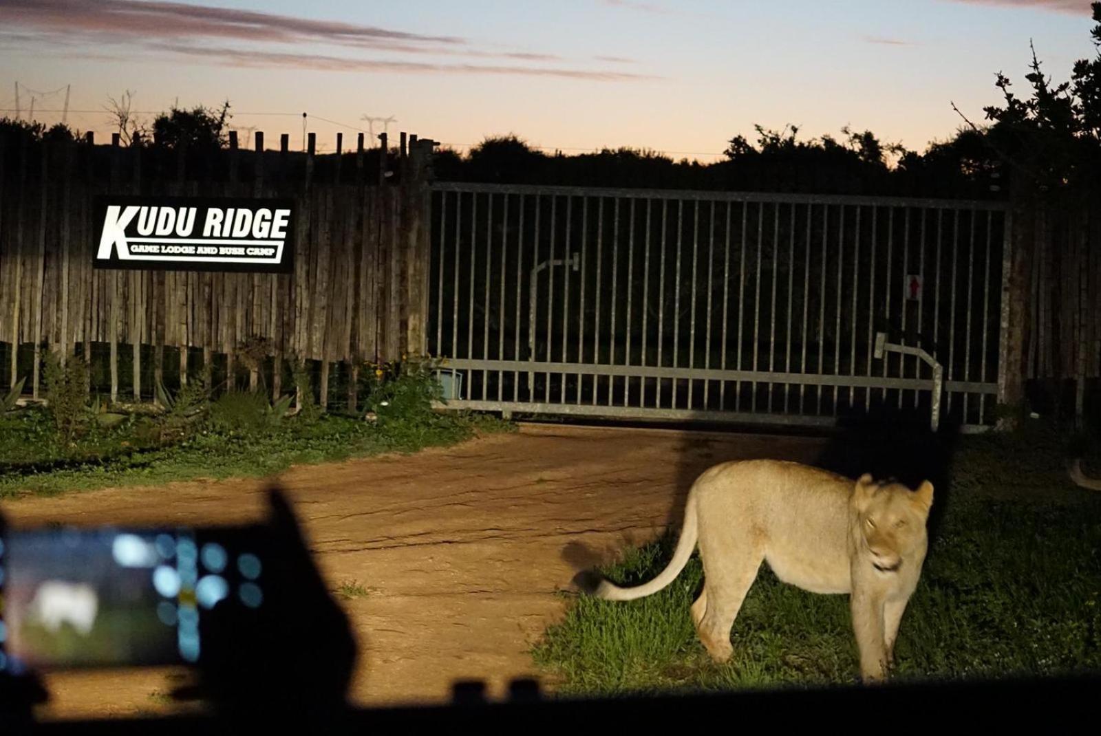 Kudu Ridge Game Lodge Адо Екстериор снимка